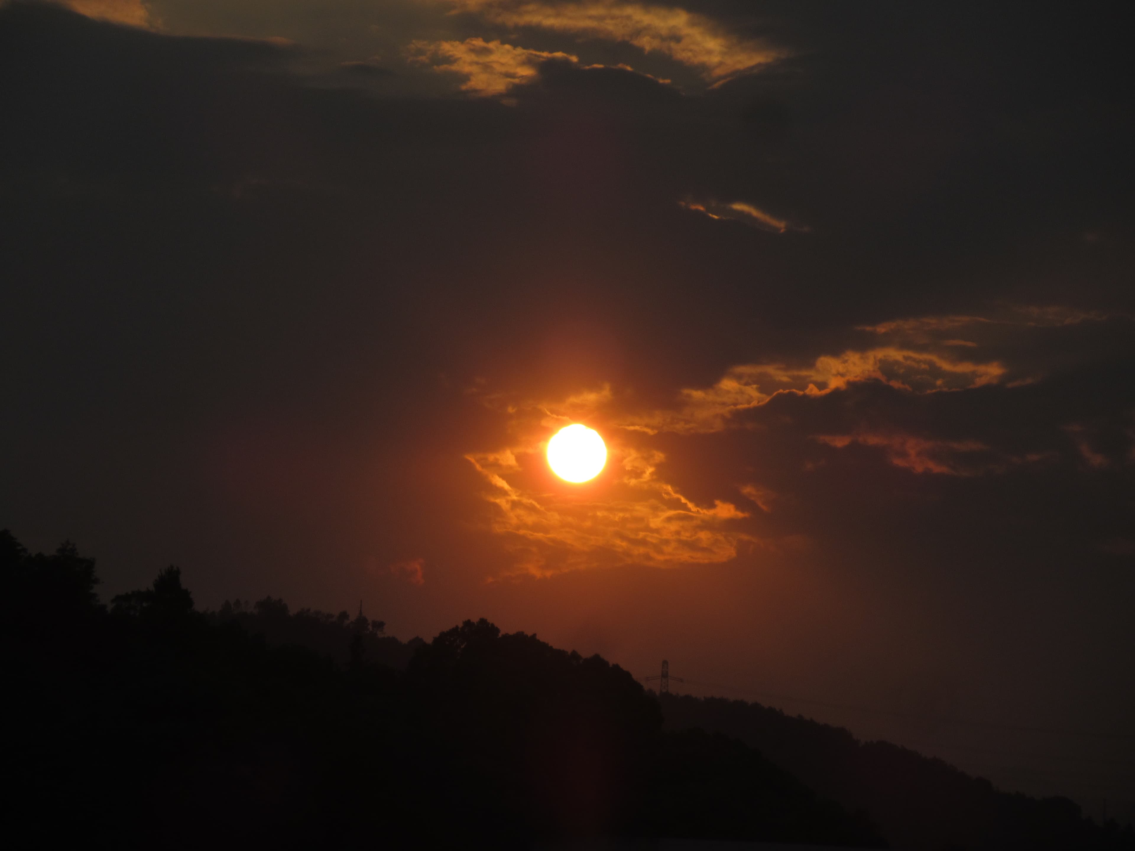 见过阳光的眼睛，容不下半点黑暗